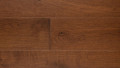 Державин (Дуб)