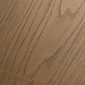 FIRSTFLOOR 1F329 Дуб Хоризон