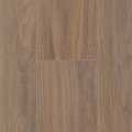 1F006 Американский орех Лоуден