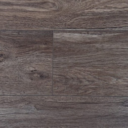 Дуб Эриксон/Oak Ericson AQ-13