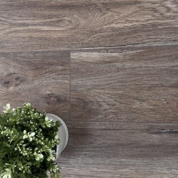 Дуб Эриксон/Oak Ericson AQ-13