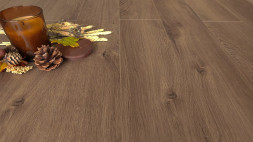 Дуб Браунфилд MSPC DCF5-10 MР