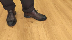 Дуб Харвест MSPC 295-3 MР