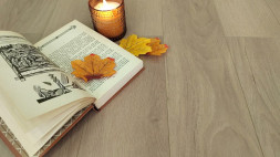 Дуб Райдер MSPC 2529-13 MР