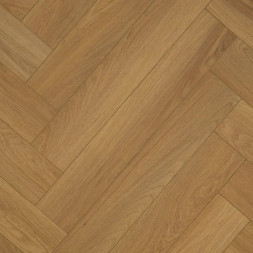 NT-129 Дуб Кювье/Oak Cuvier