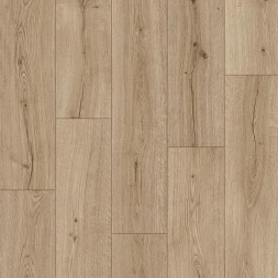 IMU8603 Дуб Субтропический