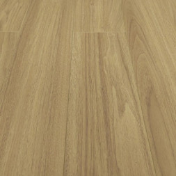 Дуб Тейлор MSPC 9332-156 MР