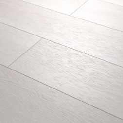 AF4041SPLE Space Limited Edition