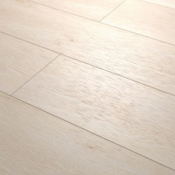 AF4042SPLE Space Limited Edition