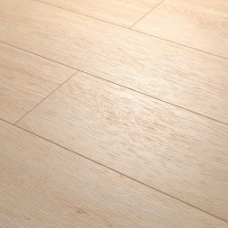 AF4043SPLE Space Limited Edition