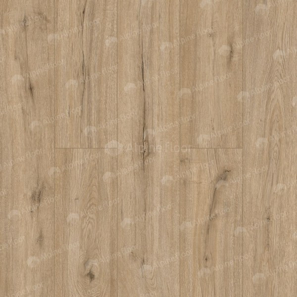 ECO 14-6 Ларго