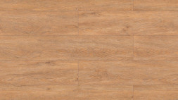 AF4047SPLE Space Limited Edition