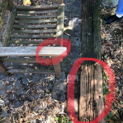 Гель Holz-Entgrauer Power-Gel 0,1 л