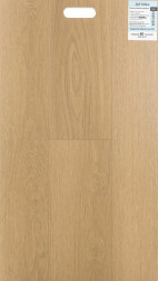 1F423 Дуб Умбра