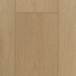 1F428 Дуб Ютика