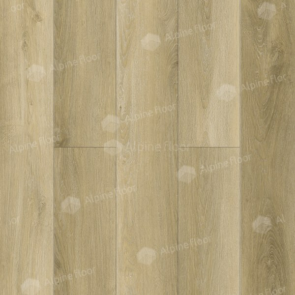 ECO 9-13 Тихий лес