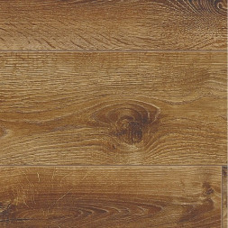 CXC 160-2 Дуб Вековой