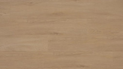 Дуб Вангелис/Oak Vangelis LM-304