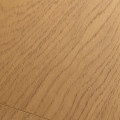 FIRSTFLOOR 1F316 Дуб Джусто